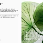 Informatie over een serum van Keune