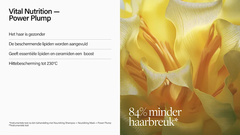 key ingredienten power plump