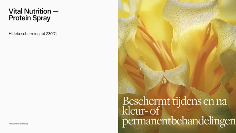 key ingredienten porteine spray keune