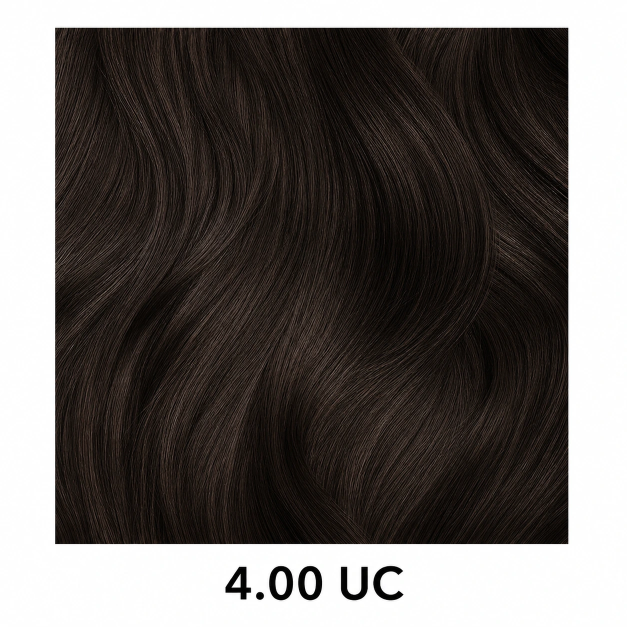 Bruin 4.00