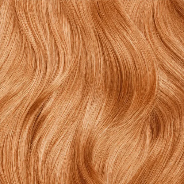 haarkleur verven haarlok met een warme, zeer lichtblonde tint met een zachte koperkleurige uitstraling.